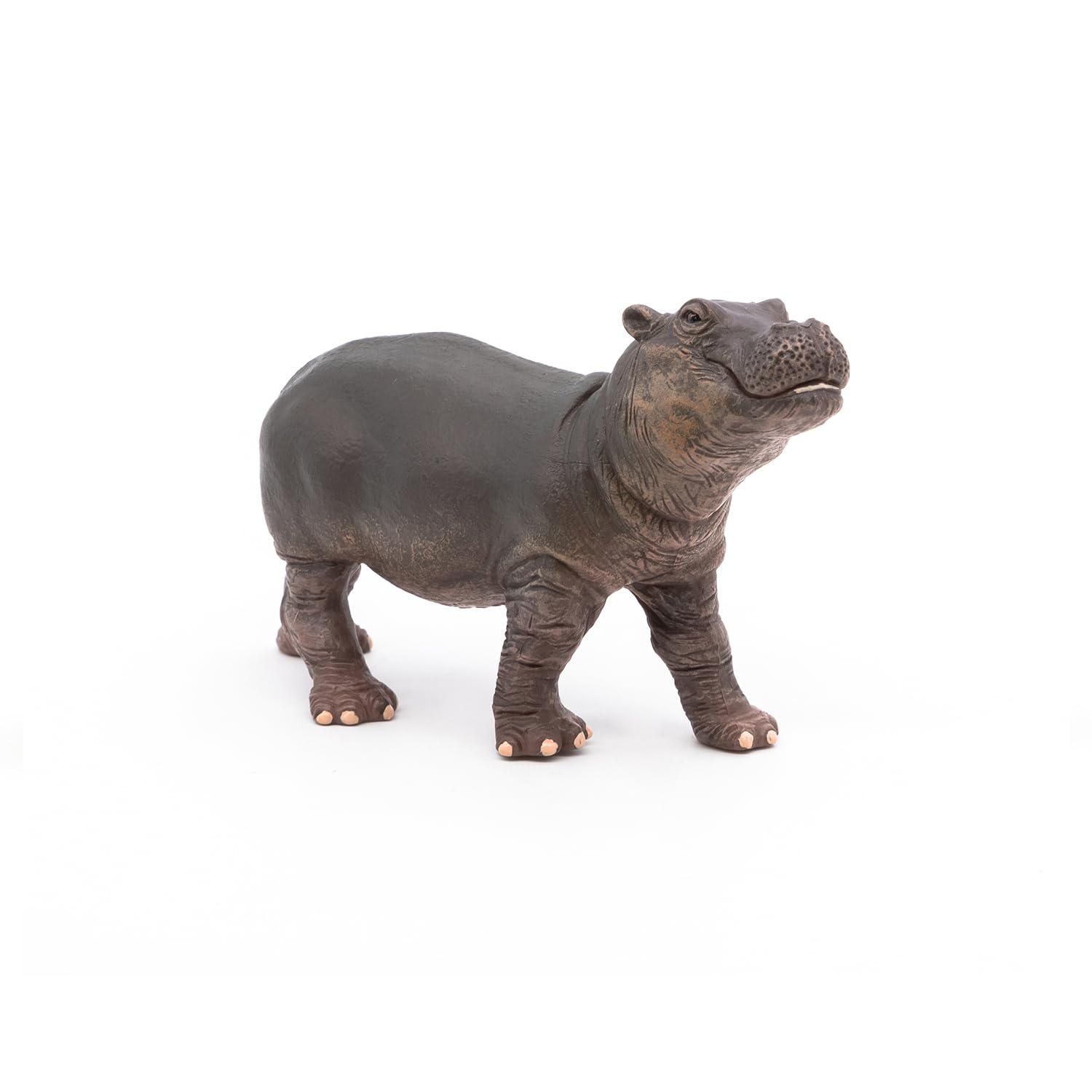 【物欲乃塊 】　WILDSWANS  LEAF  HIPPOPOTAMUS 360?cb=20150318172803
